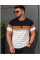 17196 Чоловіча футболка Розміри: l-xl-2xl-3xl, 4шт в ростовці одного кольору