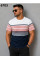 17277 Чоловіча футболка 6703. Розміри: l-xl-2xl-3xl, 4шт в ростовці одного кольору