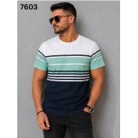 17278 Чоловіча футболка 6703. Розміри: l-xl-2xl-3xl, 4шт в ростовці одного кольору