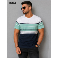 17278 Чоловіча футболка 6703. Розміри: l-xl-2xl-3xl, 4шт в ростовці одного кольору