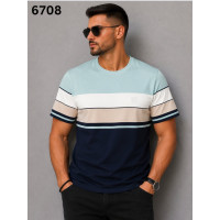 17280 Чоловіча футболка 6708. Розміри: l-xl-2xl-3xl, 4шт в ростовці одного кольору 