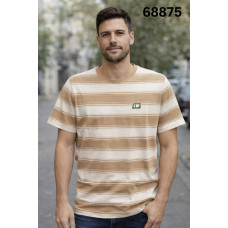 17283 Чоловіча футболка 68875. Розміри: l-xl-2xl-3xl, 4шт в ростовці одного кольору 