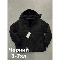 83-3 Куртка чоловіча (22436)