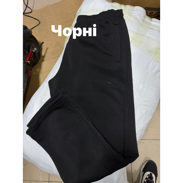 Штани чоловічі (22732)