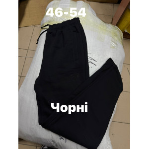 Штани чоловічі (22735)