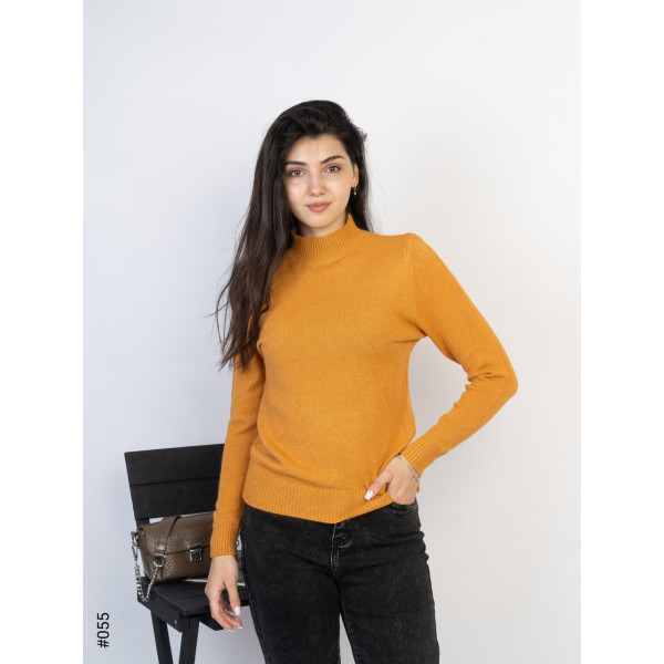 055-3 Жіночій гольф норма МІКС