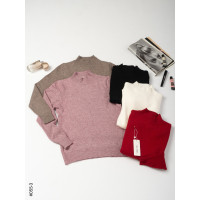 055-3 Жіночій гольф норма МІКС