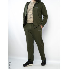 6700-6 Спортивний костюм на блискавці чоловічий пряма штанина двонитка батал (3 од: 56,58,60)