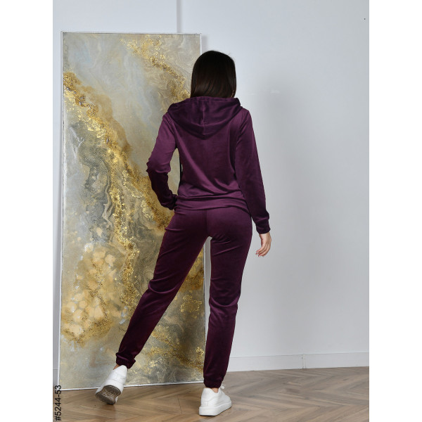 5244-53 Спортивний костюм жіночий на блискавці велюр норма (5 од: 44,46,48,50,52)