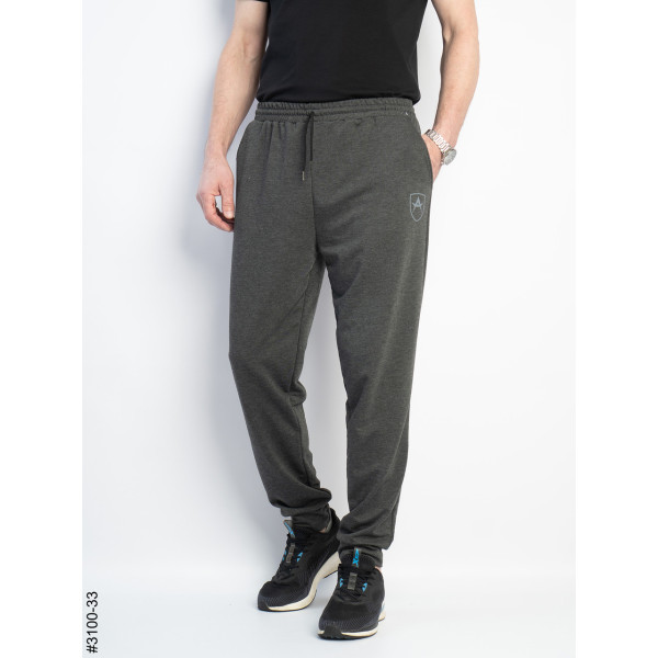 3100-33 Спортивні штани чоловічі на манжеті двунитка норма (4 од: 48,50,52,54)