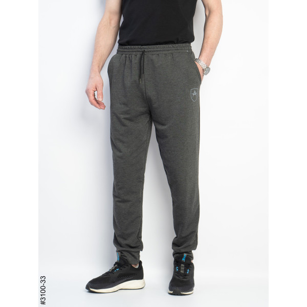 3100-33 Спортивні штани чоловічі на манжеті двунитка норма (4 од: 48,50,52,54)