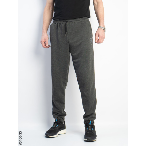 3100-33 Спортивні штани чоловічі на манжеті двунитка норма (4 од: 48,50,52,54)