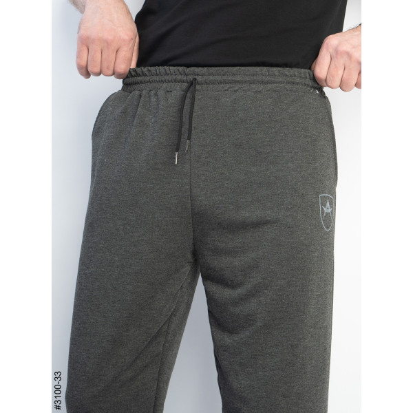 3100-33 Спортивні штани чоловічі на манжеті двунитка норма (4 од: 48,50,52,54)