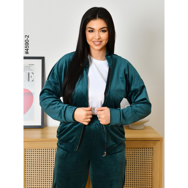 4590-2 Спортивний костюм жіночий велюр на блискавці напівбатал (3 од: 48,50,52)