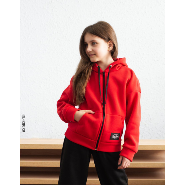 2563-15 Спортивний костюм тринитка на флісі підліток (4 од: 36,38,40,42)