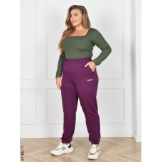 1160-11 Спортивні штани жіночі турецька двунитка батал (4 од: 54,56,58,60)