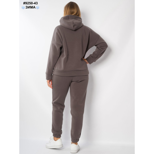 Спортивний костюм жіночий (9250-43)