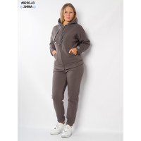 Спортивний костюм жіночий (9250-43)
