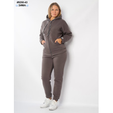 Спортивний костюм жіночий (9250-43)