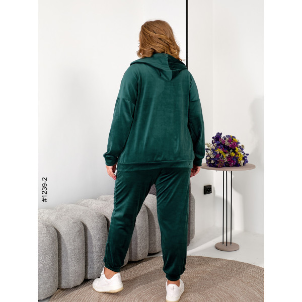 1239-2 Спортивний костюм жіночий на блискавці велюр супербатал (3 од: 54,56,58)
