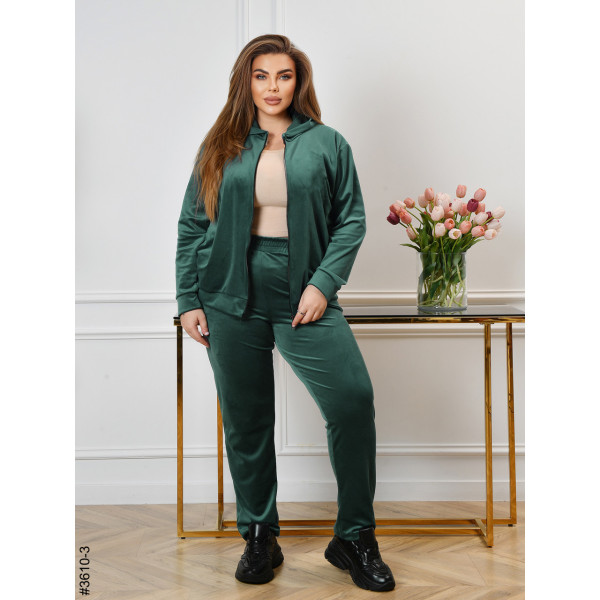3610-3 Спортивний костюм жіночий на блискавці велюр батал (3 од: 54,56,58)