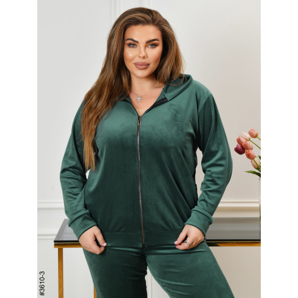 3610-3 Спортивний костюм жіночий на блискавці велюр батал (3 од: 54,56,58)