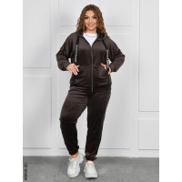 8668-20 Спортивний костюм жіночий на блискавці велюр батал (4 од: 54,56,58,60)