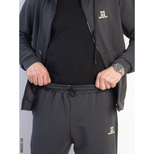 8500-34 Спортивний костюм чоловічий на манжеті турецька двонитка норма (5 од: 48,50,52,54,56)