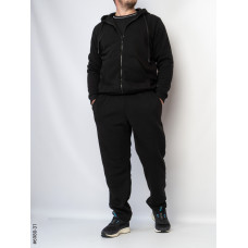 6980-31 Спортивний костюм чоловічий пряма штанина тринитка на флісі норма (3 од: 56,58,60)