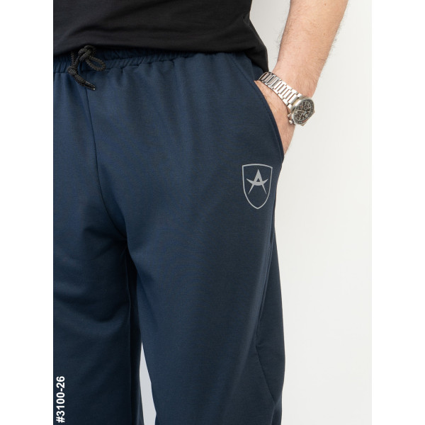 3100-26 Спортивні штани чоловічі на манжеті двунитка норма (4 од: 48,50,52,54)