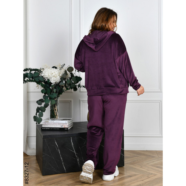 8327-12 Спортивний костюм жіночий на блискавці велюр напівбатал (4 од: 48,50,52,54)