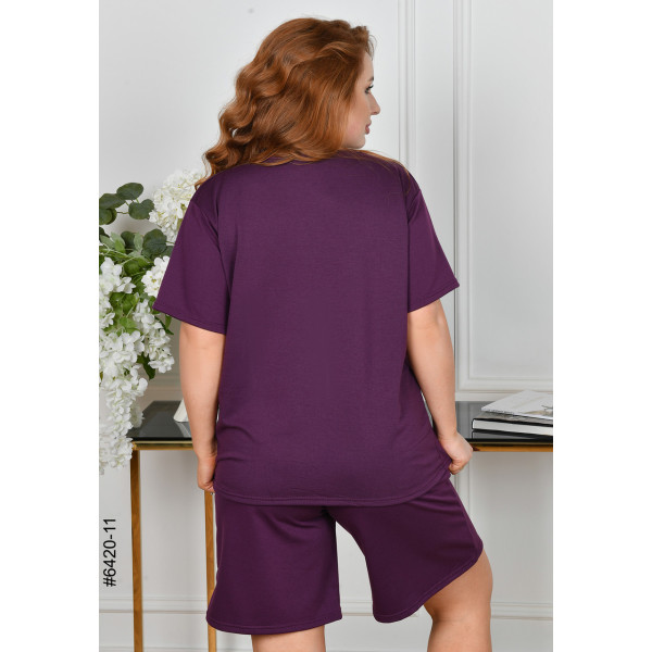 6420-11 Спортивний костюм жіночий двонитка напівбатал (3 од: 48,50,52)