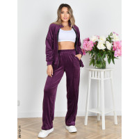4110-11 Спортивний костюм жіночий на блискавці велюр прямі штани норма (3 од: 42,44,46)