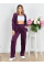 4110-11 Спортивний костюм жіночий на блискавці велюр прямі штани норма (3 од: 42,44,46)