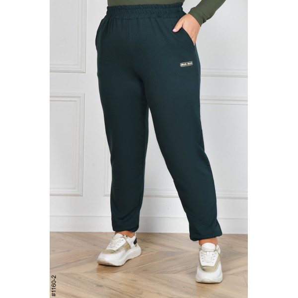 1160-2 Спортивні штани жіночі турецька двунитка батал (4 од: 54,56,58,60)