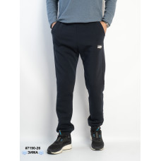 7190-26 Спортивні штани чоловічі на манжеті тринитка на флісі напівбатал (5 од: 50,52,54,56,58)