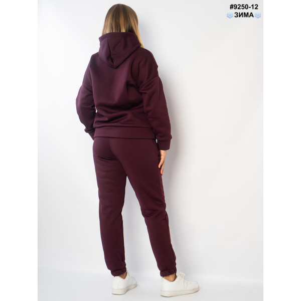 Спортивний костюм жіночий (9250-12)