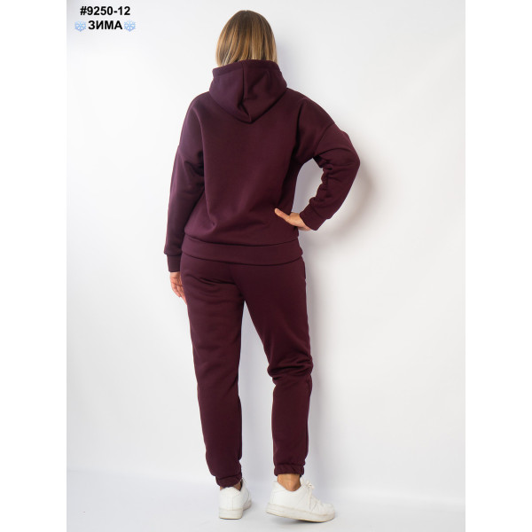 Спортивний костюм жіночий (9250-12)