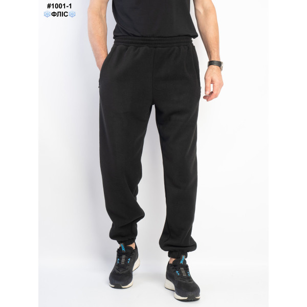 1001-1 Спортивні штани чоловічі на манжеті polar фліс норма (5 од: 48,50,52,54,56)
