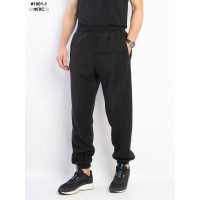 1001-1 Спортивні штани чоловічі на манжеті polar фліс норма (5 од: 48,50,52,54,56)