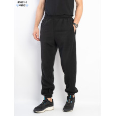 1001-1 Спортивні штани чоловічі на манжеті polar фліс норма (5 од: 48,50,52,54,56)