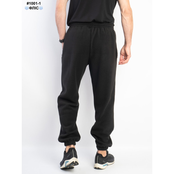 1001-1 Спортивні штани чоловічі на манжеті polar фліс норма (5 од: 48,50,52,54,56)