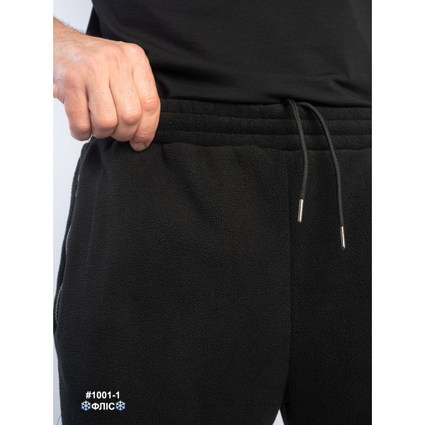 1001-1 Спортивні штани чоловічі на манжеті polar фліс норма (5 од: 48,50,52,54,56)
