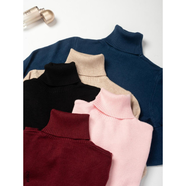 056-3 Жіночій гольф норма МІКС