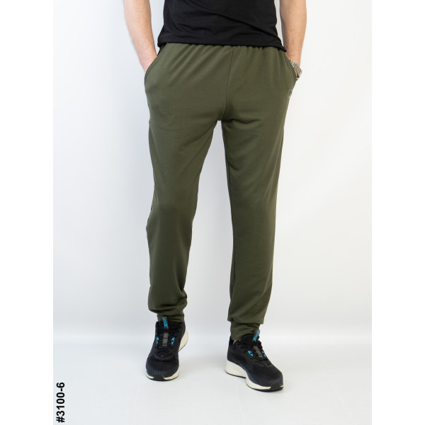 3100-6 Спортивні штани чоловічі на манжеті двунитка норма (4 од: 48,50,52,54)