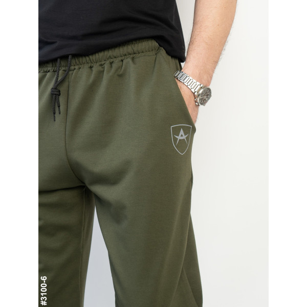 3100-6 Спортивні штани чоловічі на манжеті двунитка норма (4 од: 48,50,52,54)