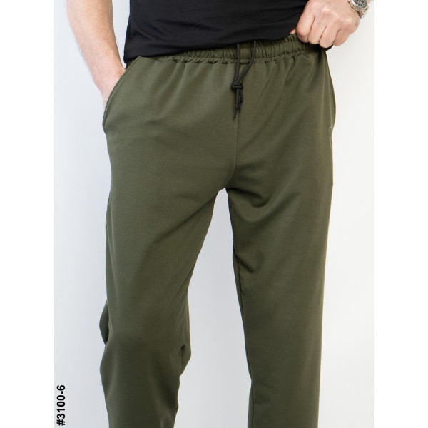 3100-6 Спортивні штани чоловічі на манжеті двунитка норма (4 од: 48,50,52,54)
