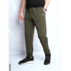 3100-6 Спортивні штани чоловічі на манжеті двунитка норма (4 од: 48,50,52,54)