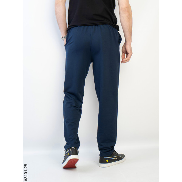 3101-28 Спортивні штани чоловічі прямі двунитка норма (4 од: 48,50,52,54)