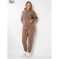 Спортивний костюм жіночий (9250-23)